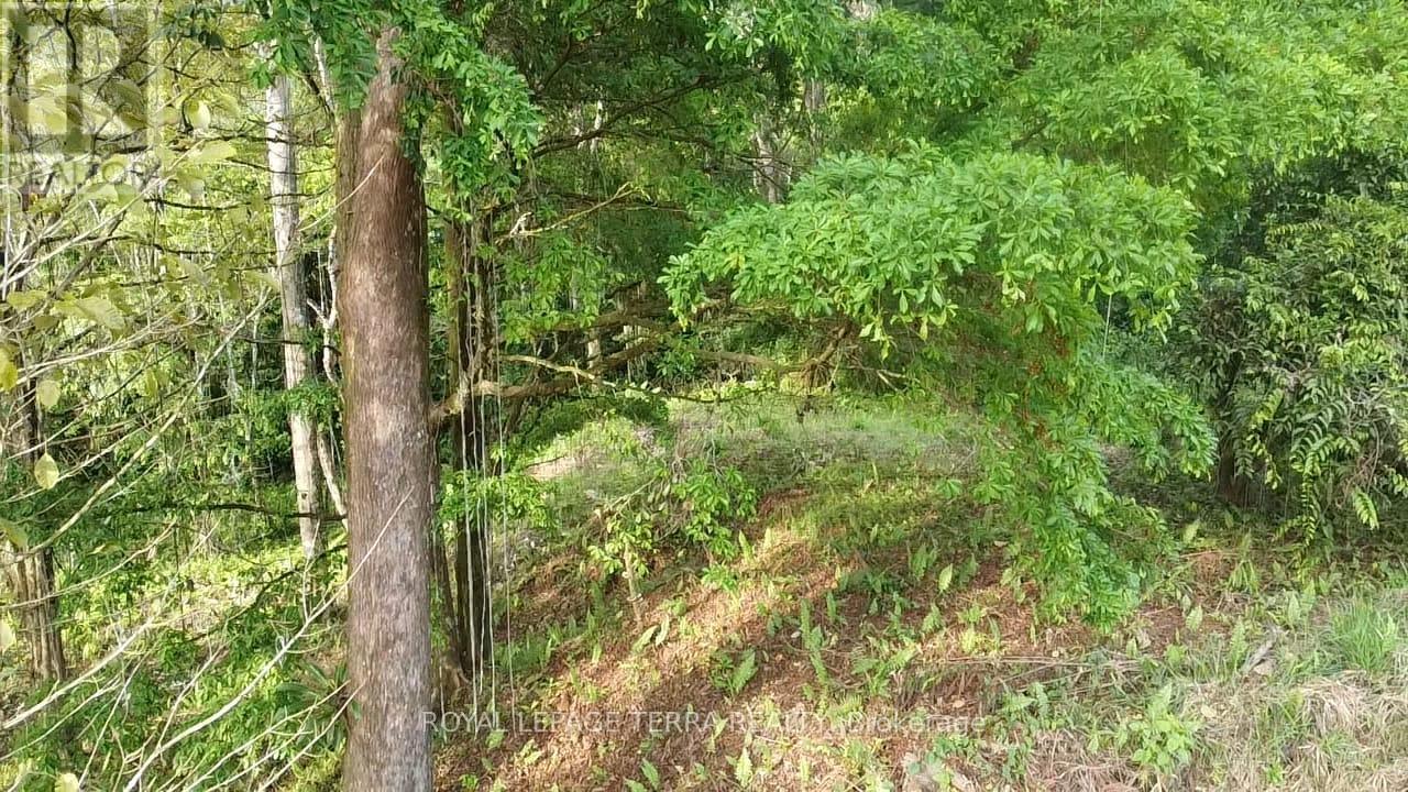 LOT8-65 CINCO VENTANAS ROAD E Property Photo 1