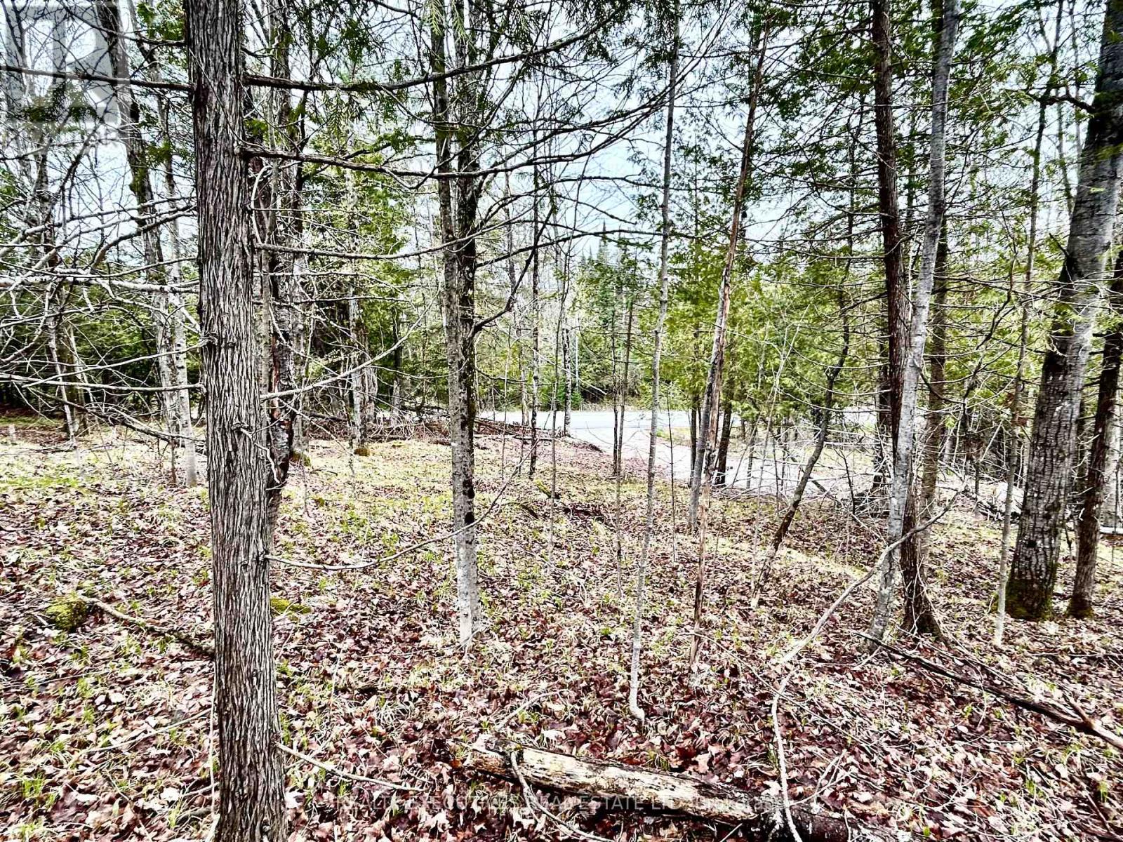 1825 Bennett Lake Road N Property Photo 21