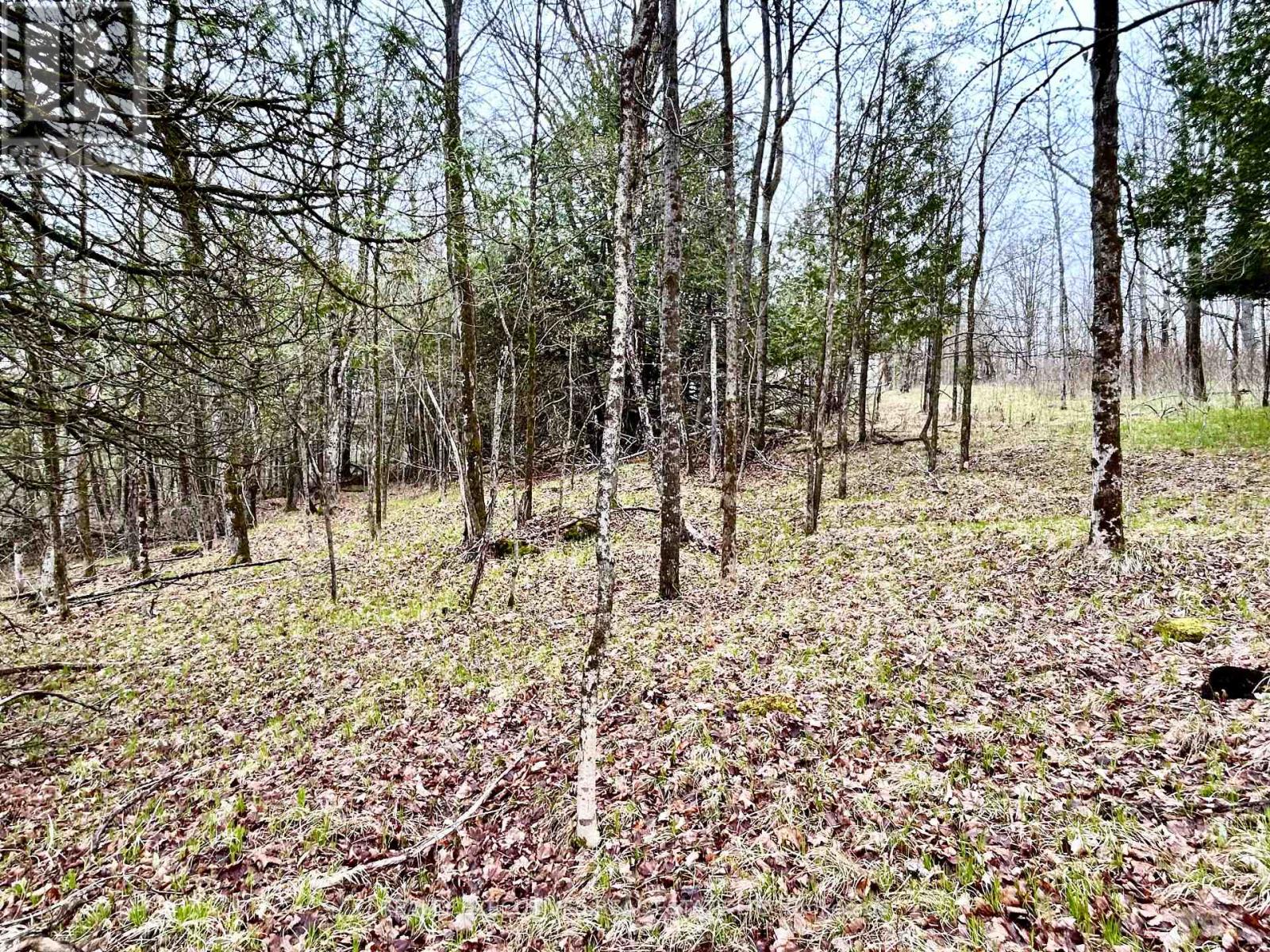 1825 Bennett Lake Road N Property Photo 22