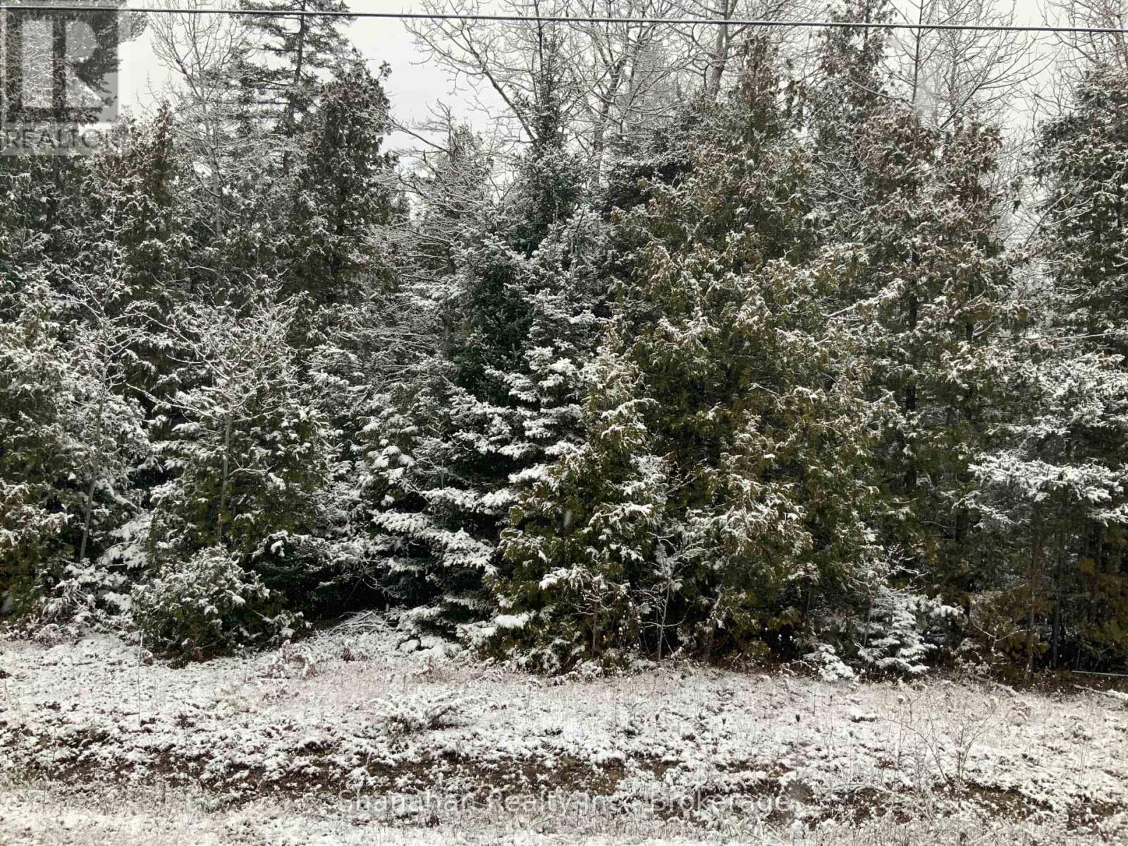 Lot 11 Norburn Road Property Photo 2