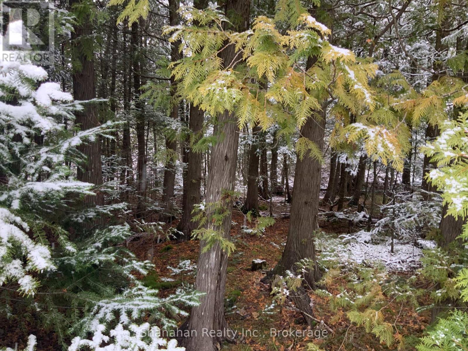 Lot 11 Norburn Road Property Photo 5
