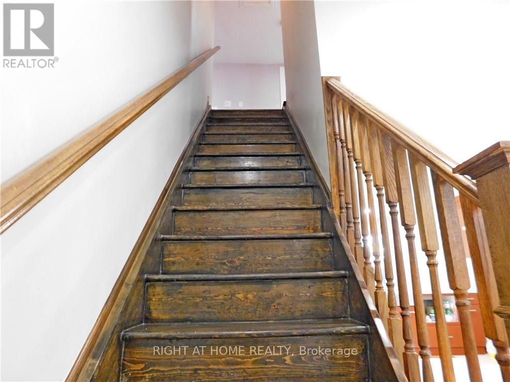 8 Harvey Street Property Photo 20