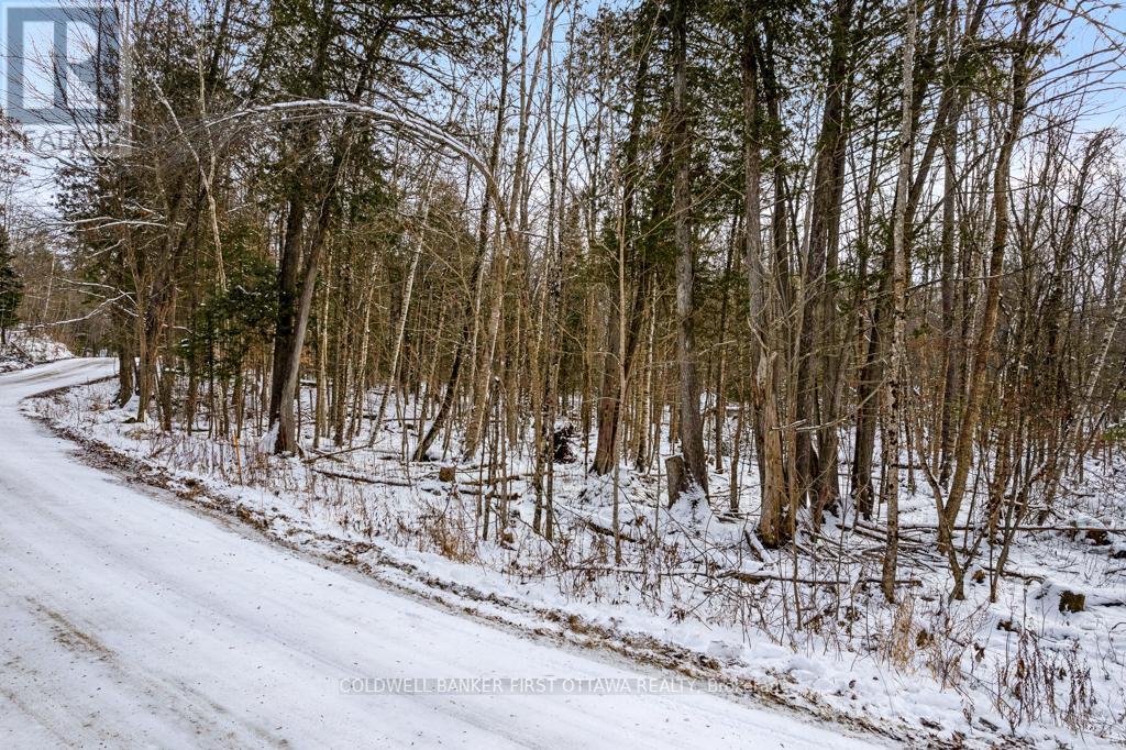 621 North Shore Rd Road Property Photo 14