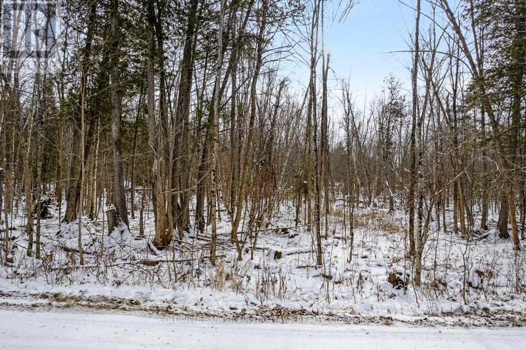 621 North Shore Rd Road Property Photo 16