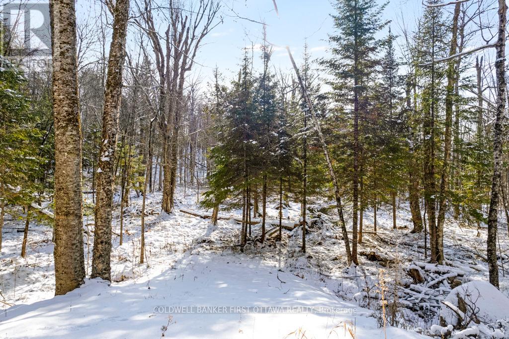 621 North Shore Rd Road Property Photo 19