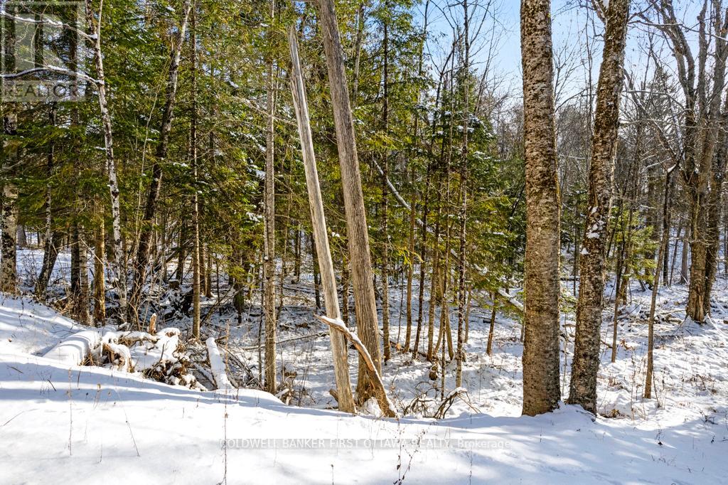 621 North Shore Rd Road Property Photo 20