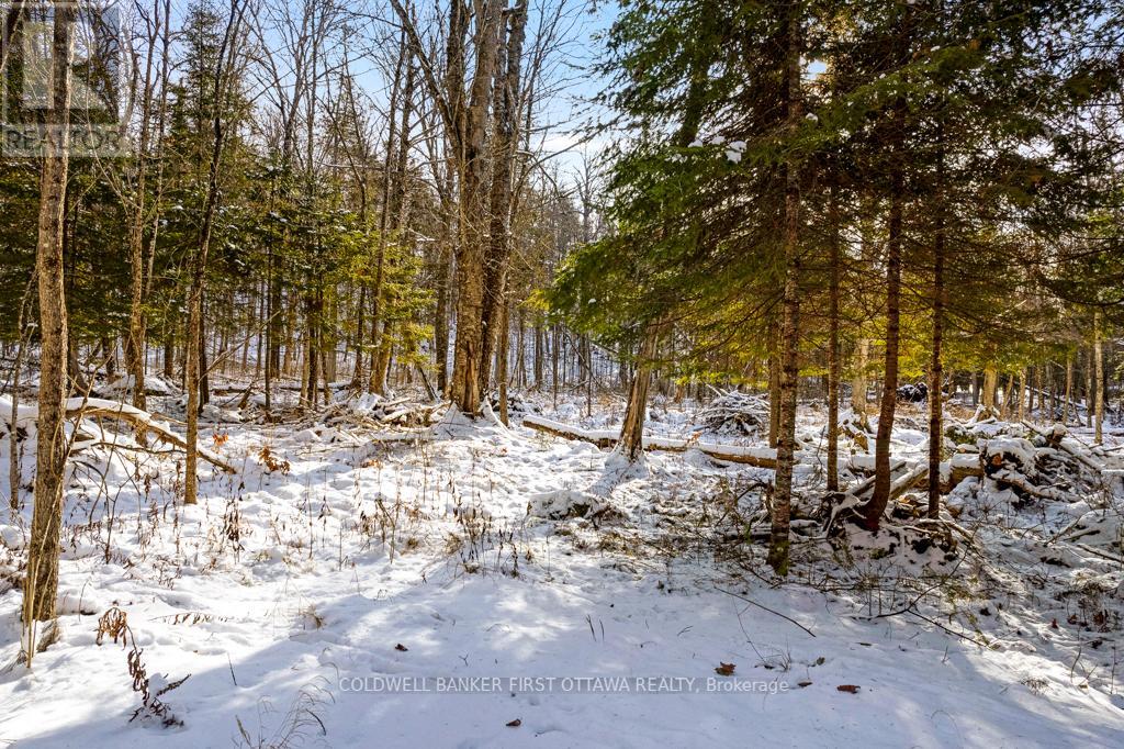 621 North Shore Rd Road Property Photo 21