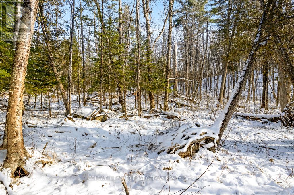 621 North Shore Rd Road Property Photo 23