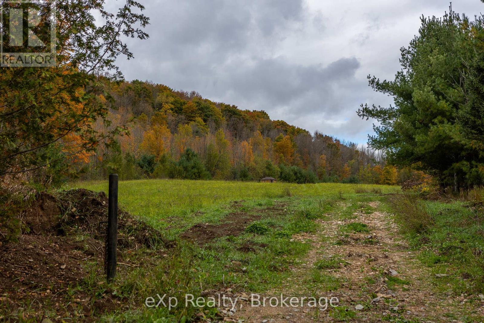 084482 6 Side Road Property Photo 7