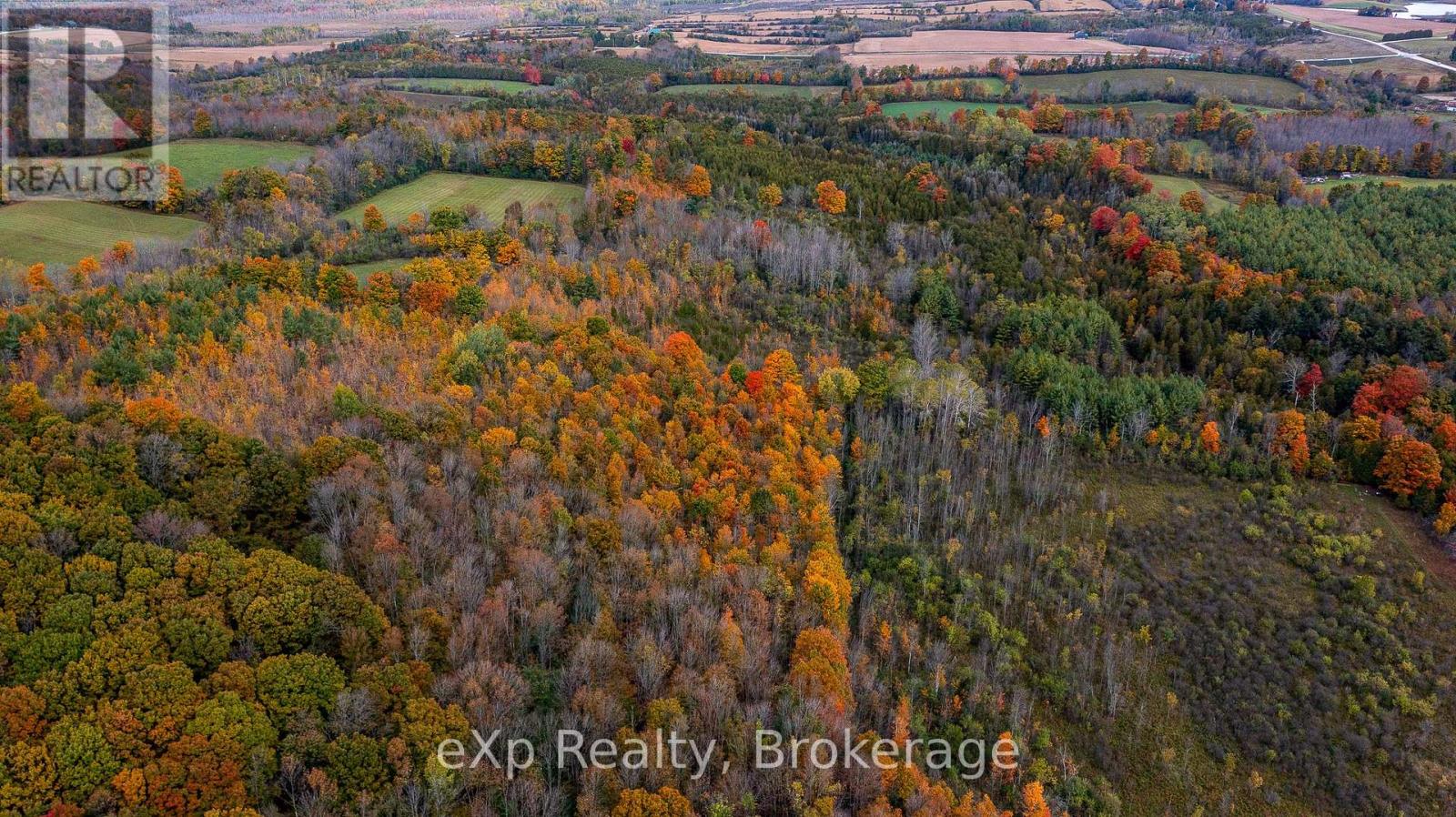 084482 6 Side Road Property Photo 18