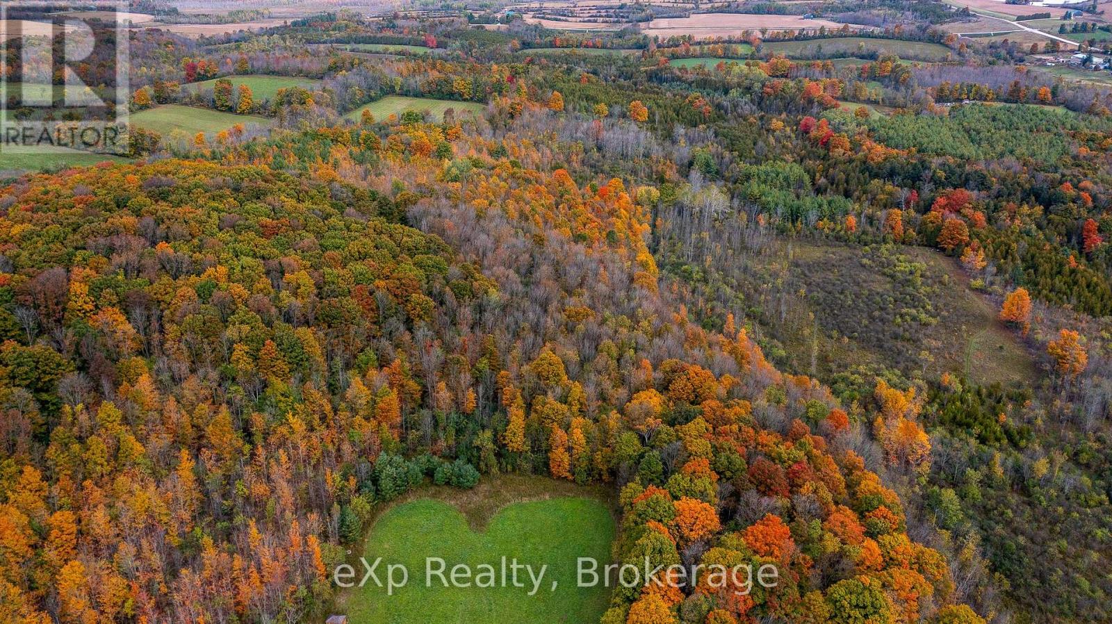 084482 6 Side Road Property Photo 19