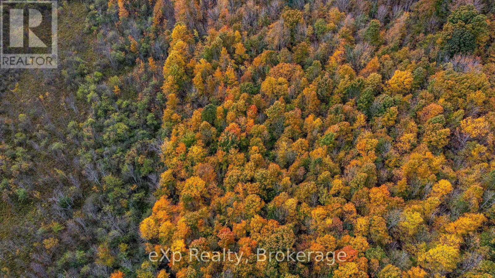 084482 6 Side Road Property Photo 20