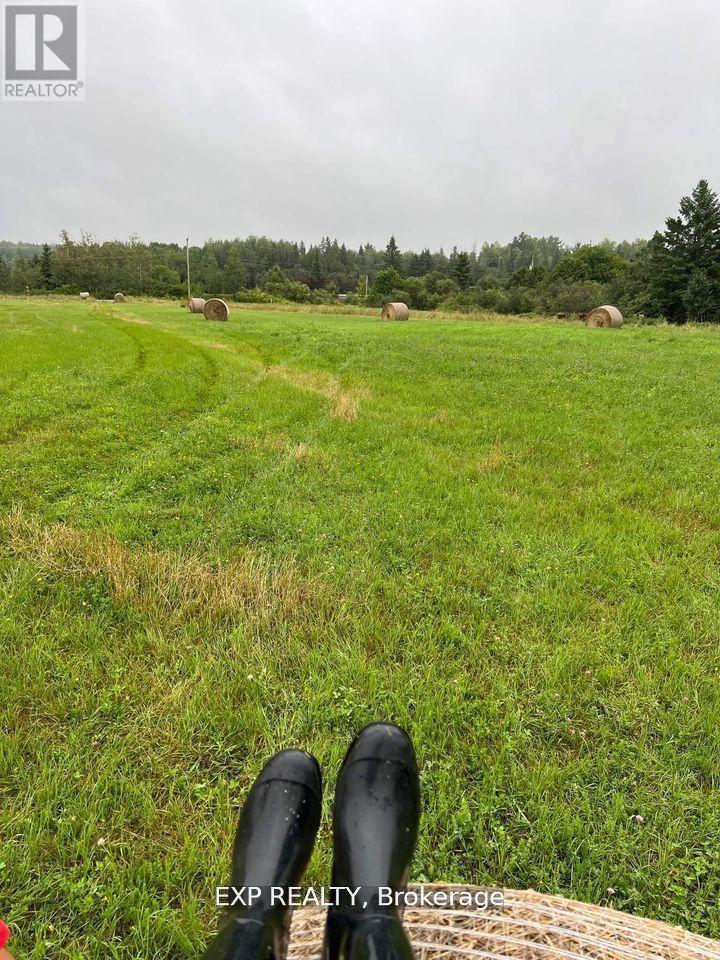 612 Old Highway 17 Property Photo 2