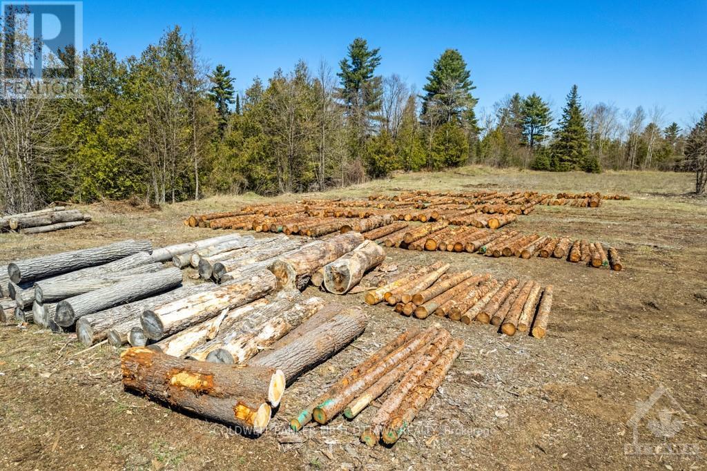 8687 Highway 511 Property Photo 4