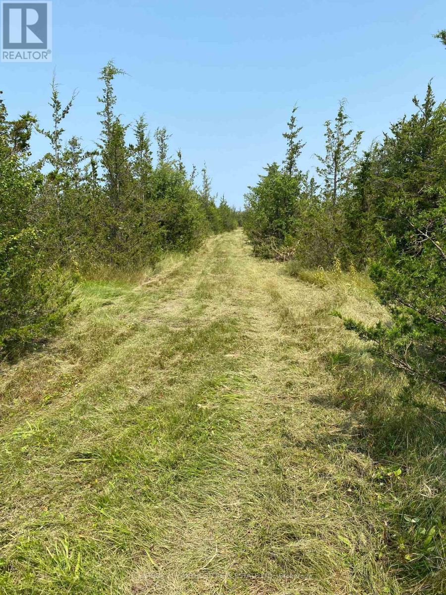 1677 County 8 Road Property Photo 35