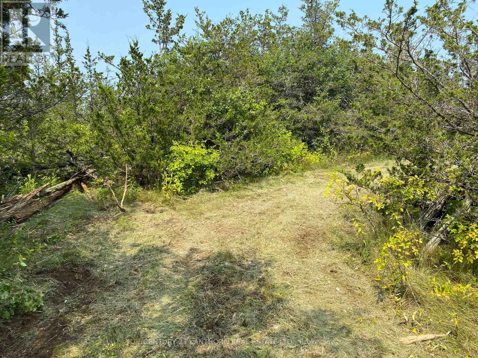 1677 County 8 Road Property Photo 36
