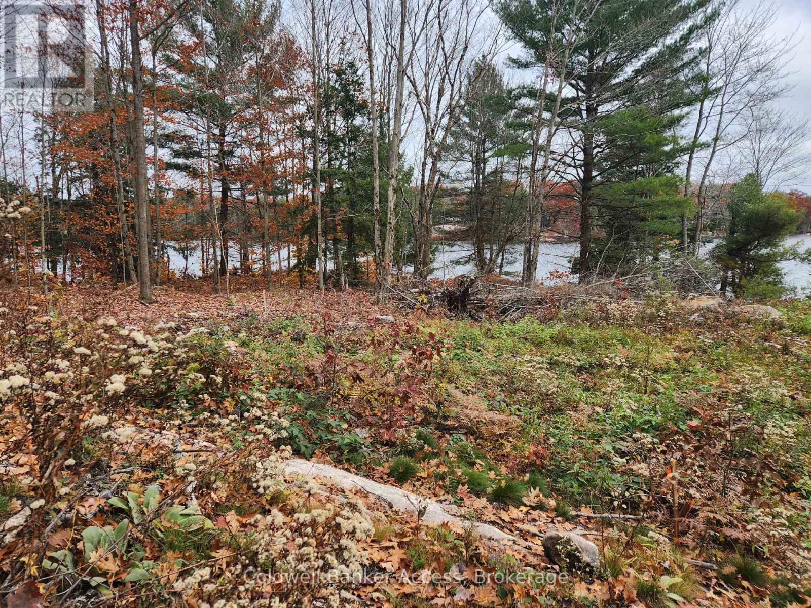 52 Hawkins Point Road Property Photo 2