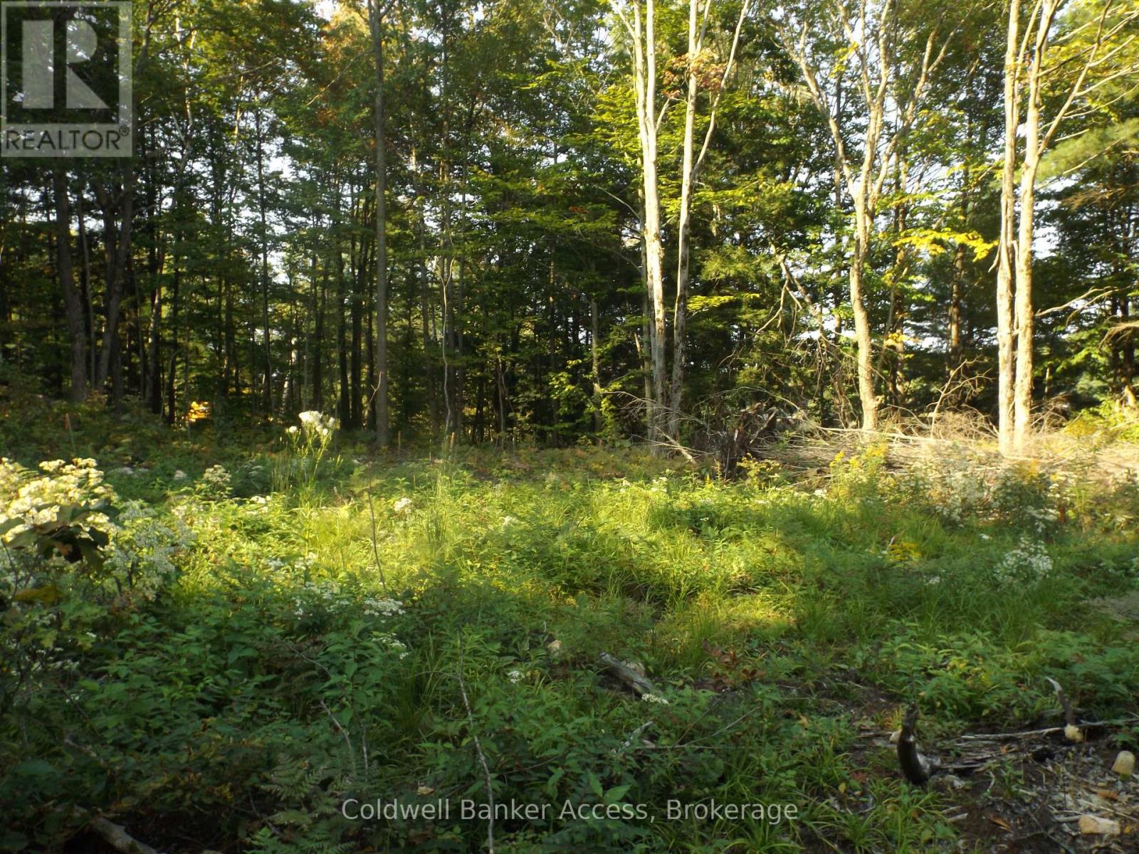 52 Hawkins Point Road Property Photo 9