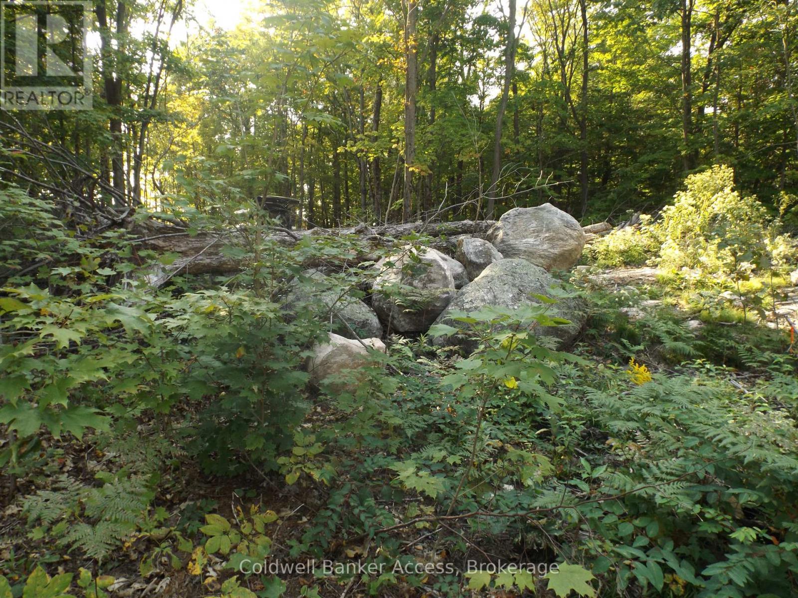 52 Hawkins Point Road Property Photo 10