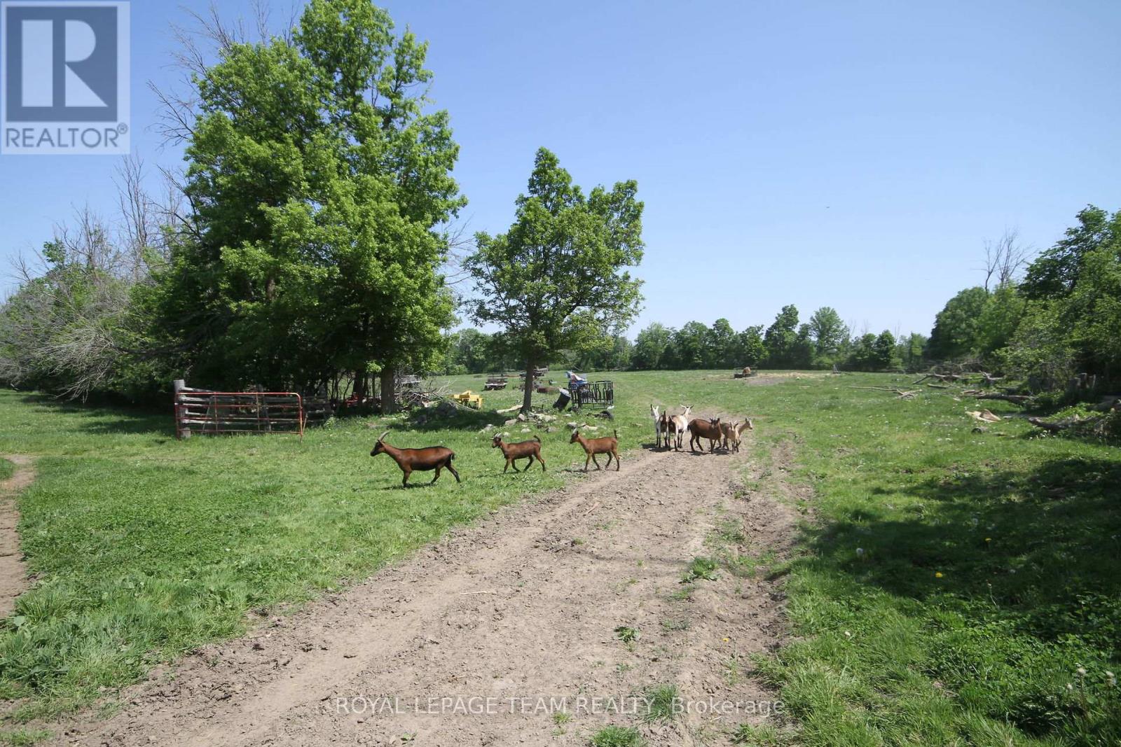 3159 8th Line Road Property Photo 21
