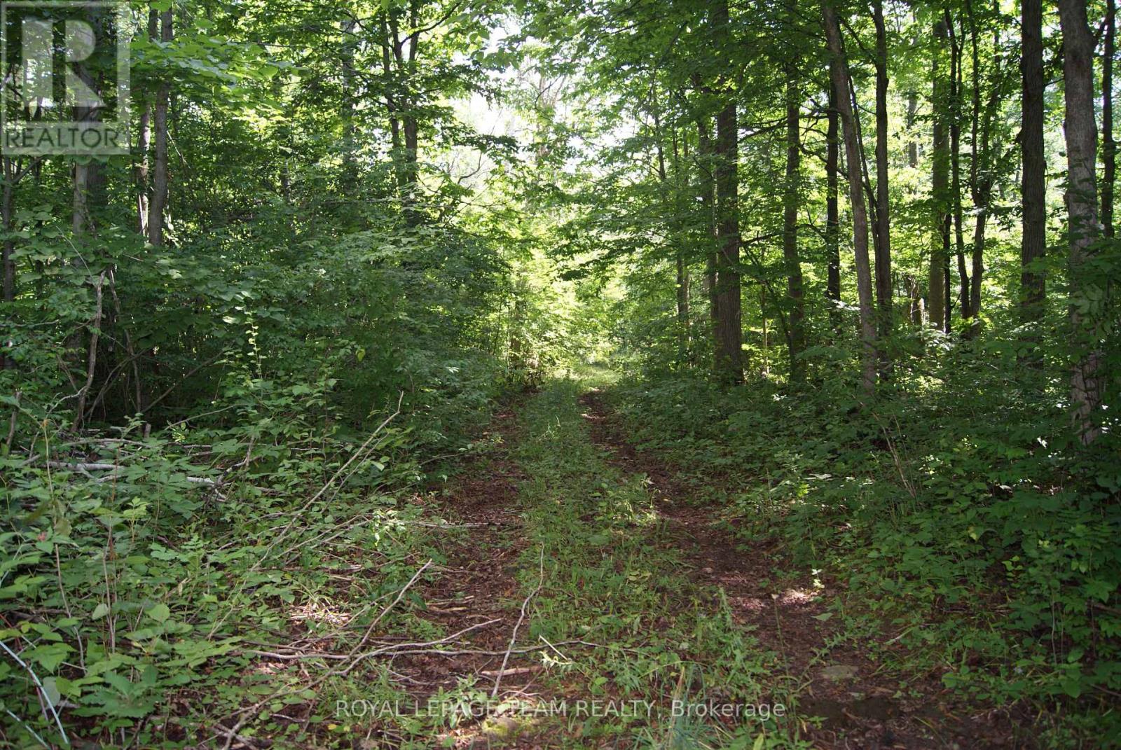 3159 8th Line Road Property Photo 23