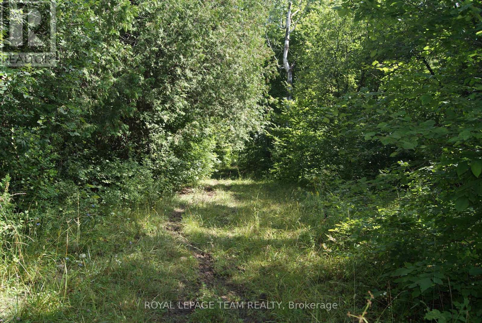 3159 8th Line Road Property Photo 24