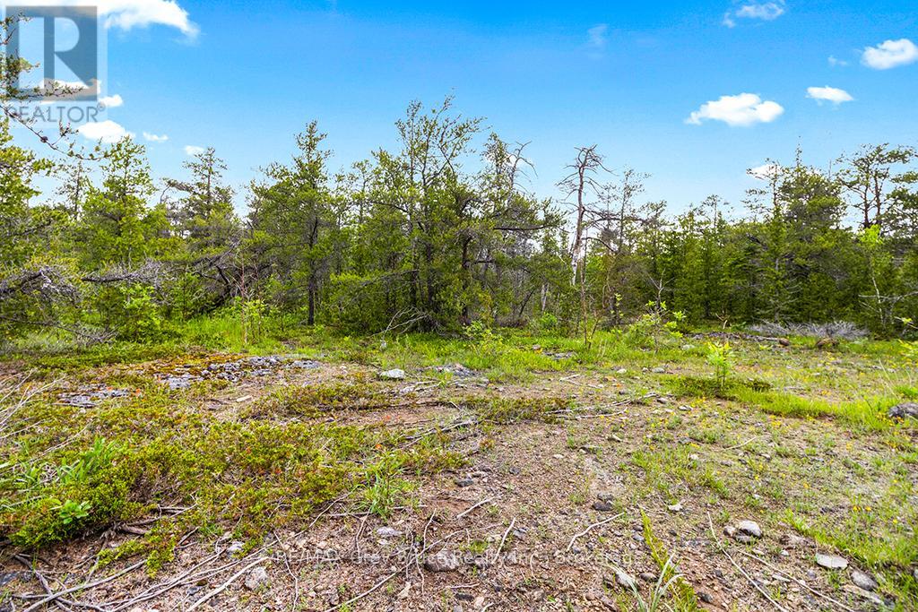 17 Dyers Bay Road Property Photo 5