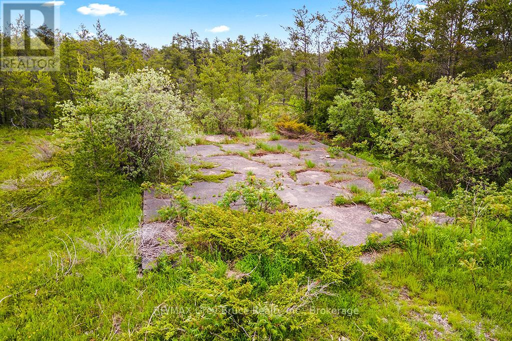 17 Dyers Bay Road Property Photo 6