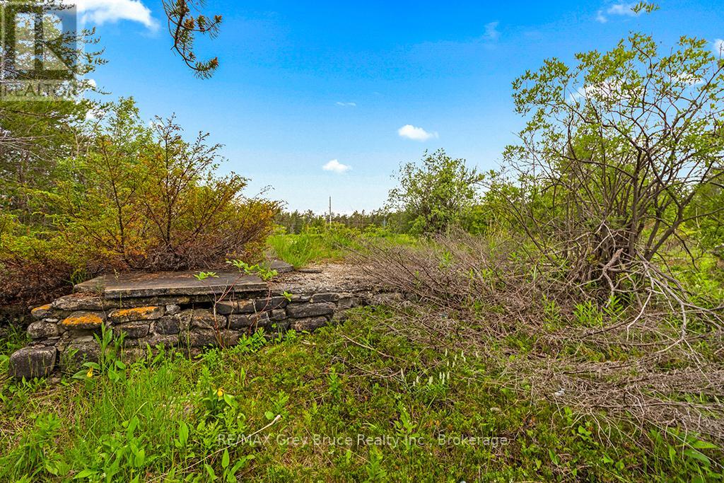 17 Dyers Bay Road Property Photo 9