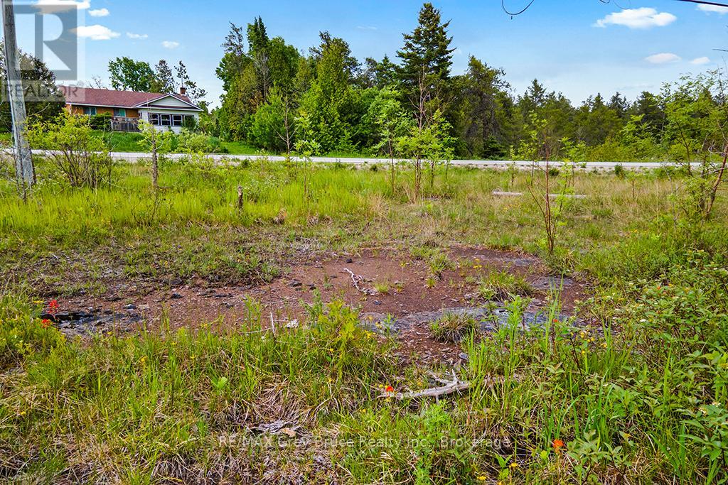 17 Dyers Bay Road Property Photo 13