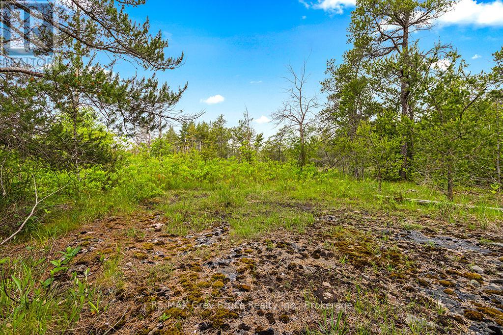 17 Dyers Bay Road Property Photo 14