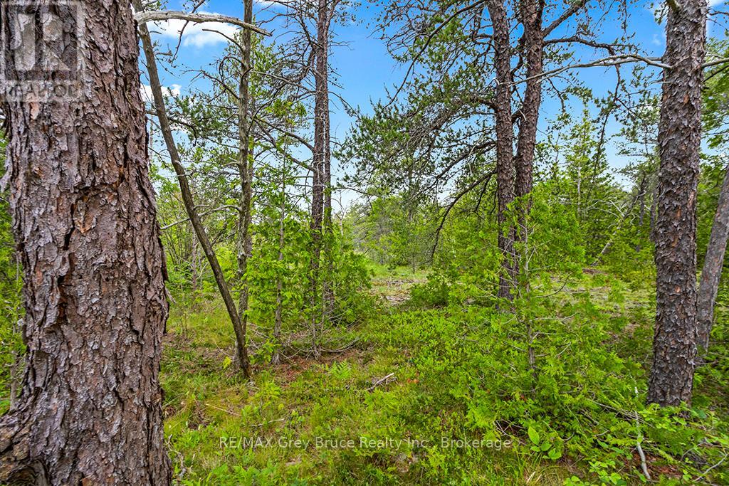 17 Dyers Bay Road Property Photo 15