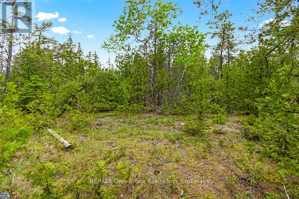 17 Dyers Bay Road Property Photo 18