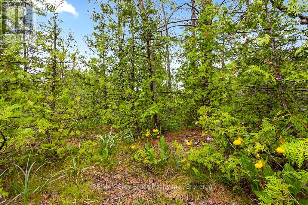 17 Dyers Bay Road Property Photo 20