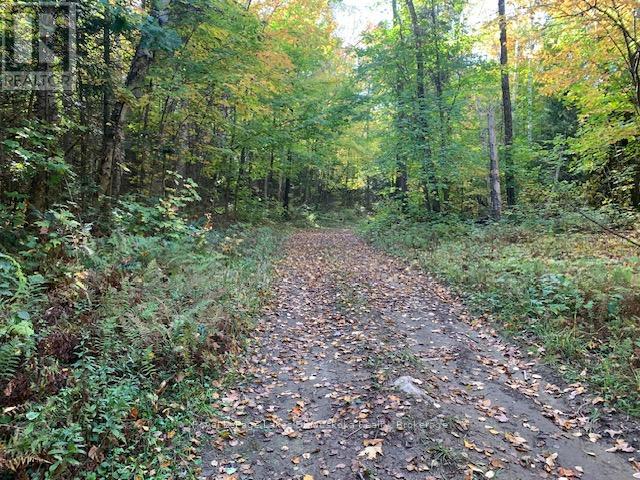 0 Sugar Bush Road E Property Photo 1