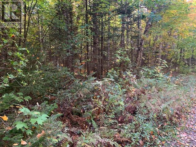0 Sugar Bush Road E Property Photo 2