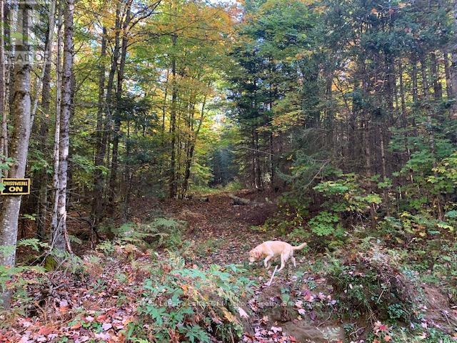 0 Sugar Bush Road E Property Photo 3