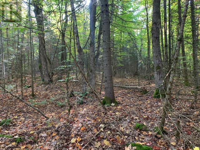 0 Sugar Bush Road E Property Photo 4