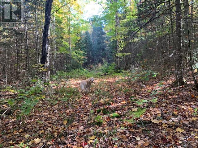 0 Sugar Bush Road E Property Photo 5