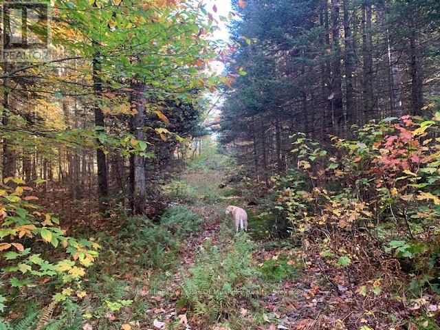 0 Sugar Bush Road E Property Photo 6