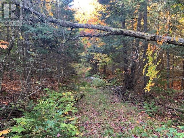 0 Sugar Bush Road E Property Photo 7