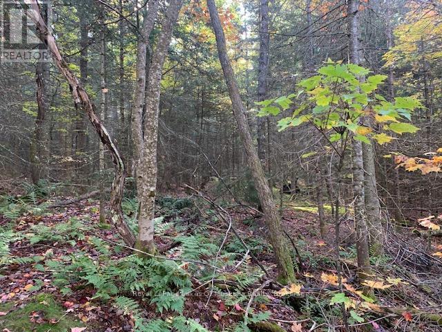 0 Sugar Bush Road E Property Photo 8