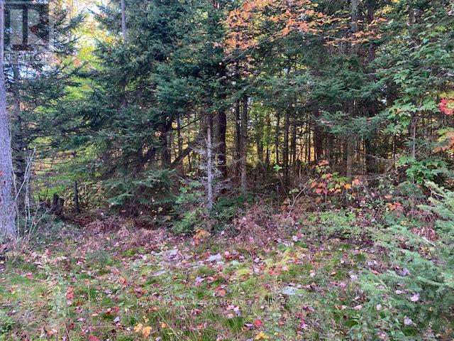 0 Sugar Bush Road E Property Photo 10