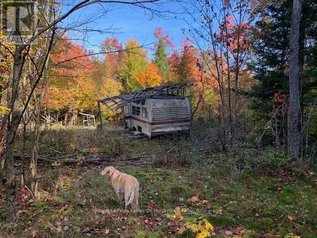 0 Sugar Bush Road E Property Photo 11