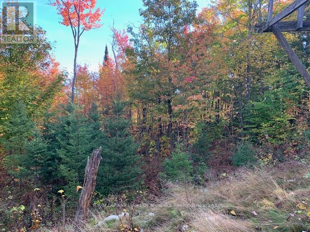 0 Sugar Bush Road E Property Photo 12