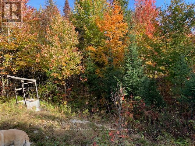 0 Sugar Bush Road E Property Photo 13