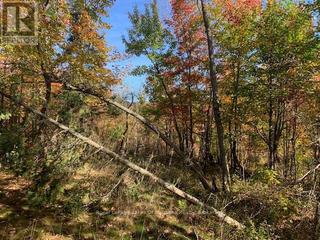 0 Sugar Bush Road E Property Photo 15