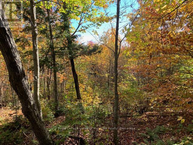 0 Sugar Bush Road E Property Photo 16