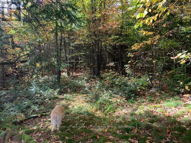 0 Sugar Bush Road E Property Photo 17