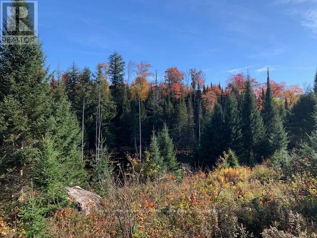 0 Sugar Bush Road E Property Photo 19